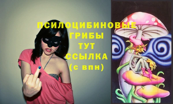 ГАЛЛЮЦИНОГЕННЫЕ ГРИБЫ Верхний Тагил