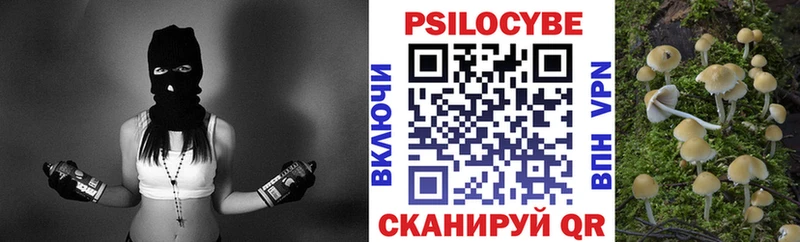 mega как войти  купить  сайты  Ростов  Галлюциногенные грибы Psilocybe 